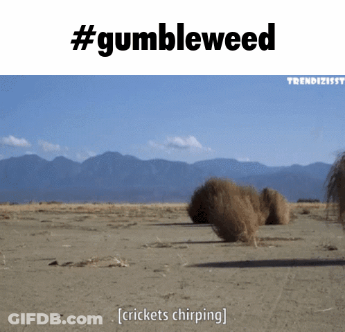 A Picture Of A Desert With The Words " Crickets Chirping " Below It GIF