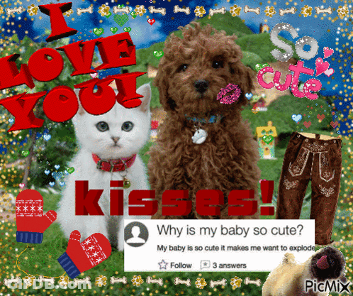 A Picture Of A Dog And A Cat With The Words I Love You Kisses On It GIF