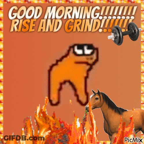 A Picture Of A Dog And A Horse With The Words Good Morning Rise And Grind GIF