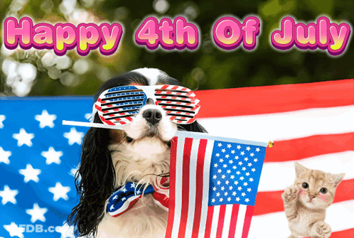 A Picture Of A Dog And A Kitten With The Words Happy 4Th Of July GIF