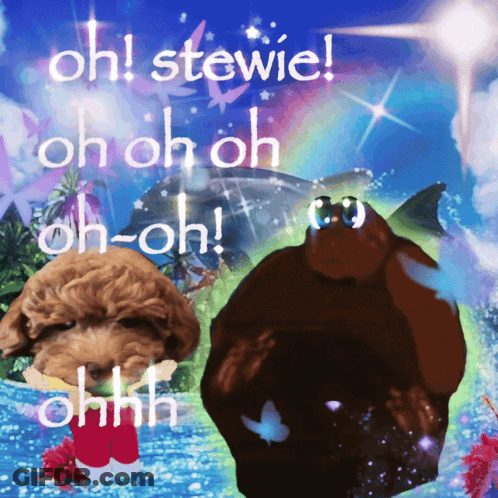 A Picture Of A Dog And A Shark With The Words Oh Stevie Oh Oh Oh Oh Oh Oh GIF