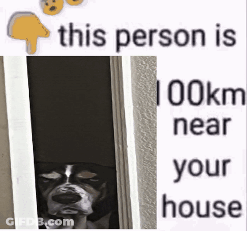 A Picture Of A Dog And A Sign That Says This Person Is 100Km Near Your House GIF