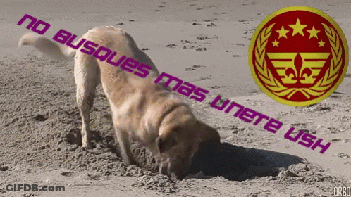 A Picture Of A Dog Digging In The Sand With The Words No Busques Mas Unete Ush Above It GIF