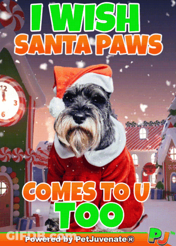 A Picture Of A Dog Dressed As Santa Claus With The Caption " I Wish Santa Paws Comes To You Too " GIF