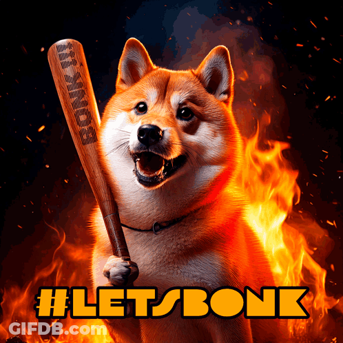 A Picture Of A Dog Holding A Baseball Bat That Says Bonk On It GIF