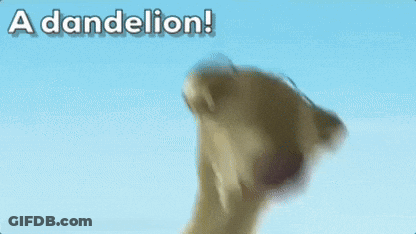A Picture Of A Dog Holding A Flower With The Words " A Dandelion " Above It GIF