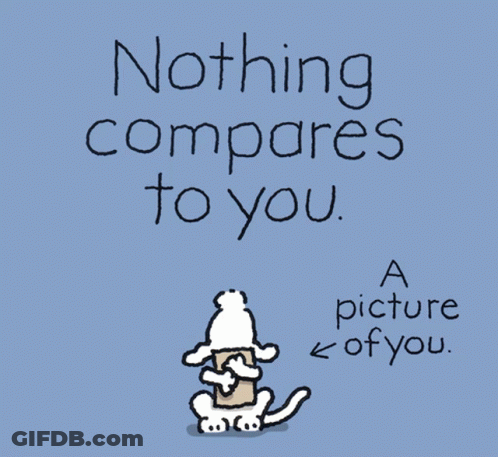 A Picture Of A Dog Holding A Piece Of Paper That Says Nothing Compares To You GIF