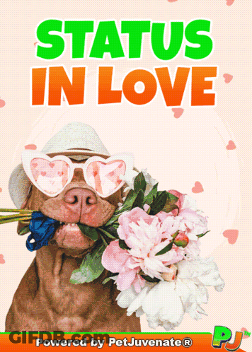 A Picture Of A Dog Holding Flowers With The Words Status In Love Behind It GIF