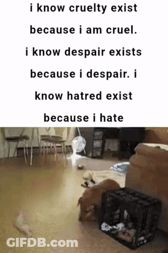 A Picture Of A Dog In A Cage Next To A Quote That Says I Know Cruelty Exists Because I Am Cruel GIF