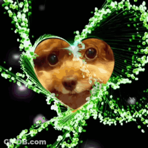 A Picture Of A Dog In A Heart Shaped Frame With Green Flowers GIF