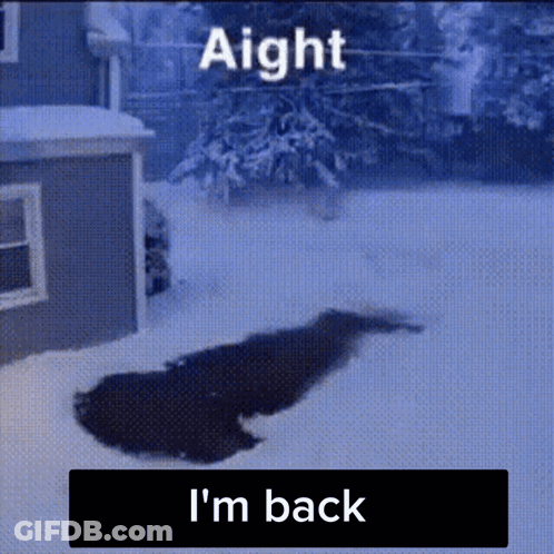 A Picture Of A Dog In The Snow With The Words Aight I 'M Back GIF