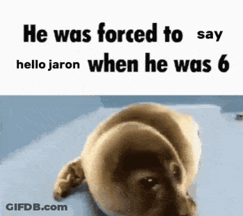 A Picture Of A Dog Laying Down With The Caption He Was Forced To Say Hello Jaron When He Was 6 GIF
