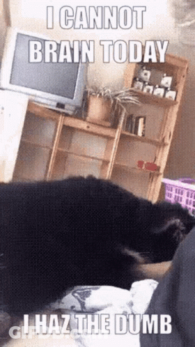 Dog Laying On Bed Saying I Cannot Brain Today GIF