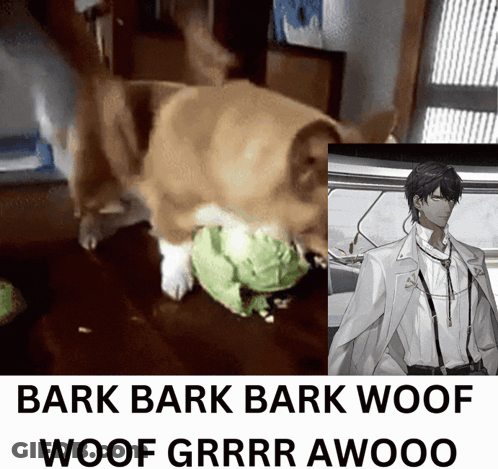 A Picture Of A Dog Next To A Picture Of A Man That Says Bark Bark Bark Woof Woof Grrr Awooo GIF