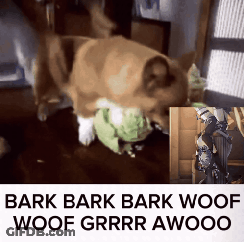 A Picture Of A Dog Next To The Words Bark Bark Woof Woof Grrr Awooo On The Bottom GIF