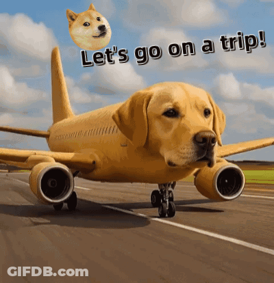 A Picture Of A Dog Shaped Like An Airplane With The Words Let 'S Go On A Trip GIF