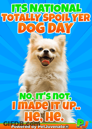 A Picture Of A Dog That Says It 'S National Totally Spoiled Dog Day No It 'S Not I Made It Up He He GIF