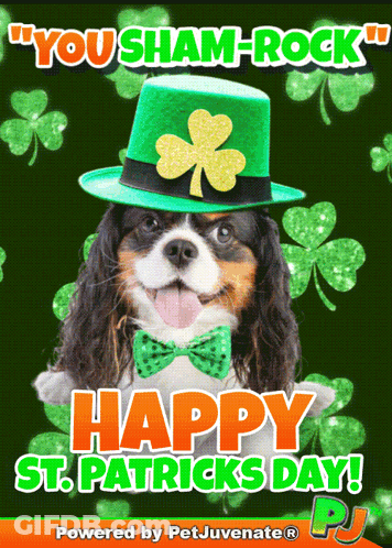 A Picture Of A Dog Wearing A Shamrock Hat And A Bow Tie GIF