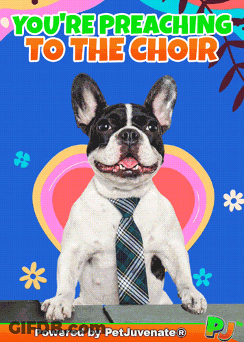 A Picture Of A Dog Wearing A Tie With The Words " You 'Re Preaching To The Choir " Above It GIF