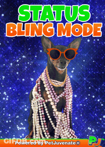 Dog Wearing Pearls And Sunglasses With Status Bling Mode Text GIF