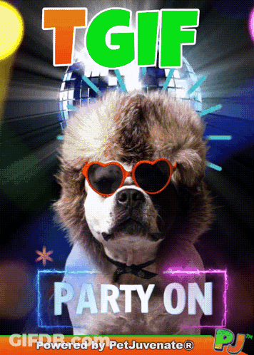 A Picture Of A Dog Wearing Sunglasses And A Fur Hat With The Words Tgif Party On Below It GIF