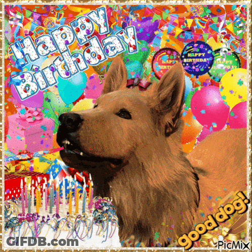 A Picture Of A Dog With A Birthday Cake And The Words Happy Birthday GIF