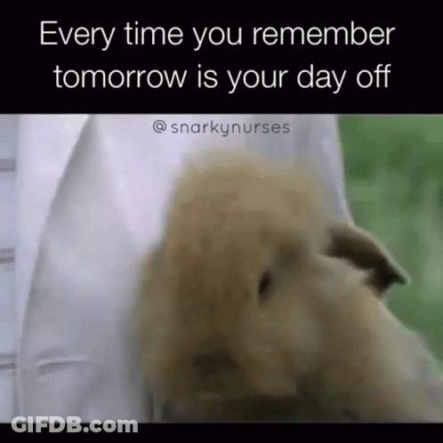 A Picture Of A Dog With A Caption That Says Every Time You Remember Tomorrow Is Your Day Off . GIF