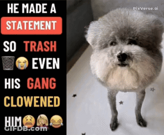 A Picture Of A Dog With A Caption That Says He Made A Statement So Trash Even His Gang Clowed Him GIF