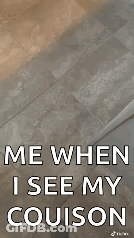 A Picture Of A Dog With A Caption That Says Me When I See My Cousin GIF