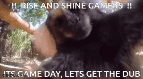 A Picture Of A Dog With A Caption That Says Rise And Shine Gamers Its Game Day Lets Get The Dub GIF