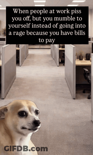 A Picture Of A Dog With A Caption That Says When People At Work Piss You Off But You Mumble To Yourself GIF