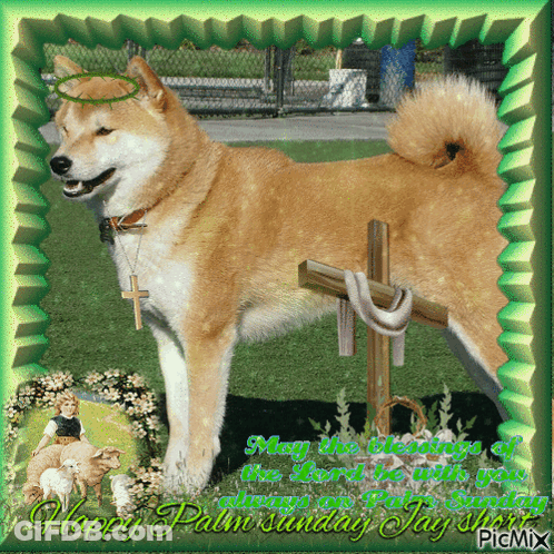 A Picture Of A Dog With A Cross And The Words " May The Blessings Of The Lord Be Always On Palm Sunday " GIF
