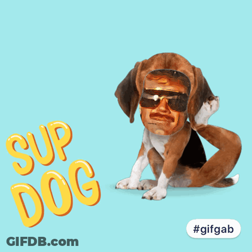 A Picture Of A Dog With A Man 'S Face And The Words Sup Dog On It GIF