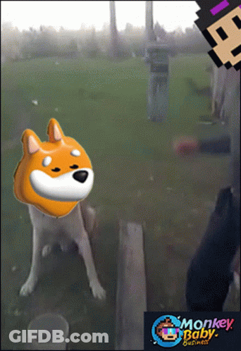 A Picture Of A Dog With A Monkey Baby Business Logo In The Corner GIF