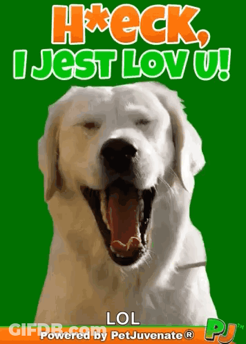 A Picture Of A Dog With Its Mouth Open And The Words H * Eck I Jest Lov U Lol GIF