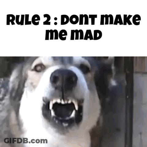 A Picture Of A Dog With Its Mouth Open And The Words Rule 2 : Dont Make Me Mad GIF