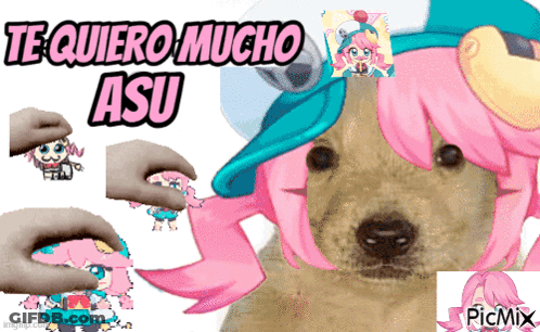 A Picture Of A Dog With Pink Hair And The Words Te Quiero Mucho Asu On The Top GIF