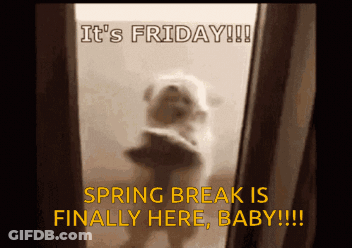 A Picture Of A Dog With The Caption It 'S Friday Spring Break Is Finally Here Baby GIF