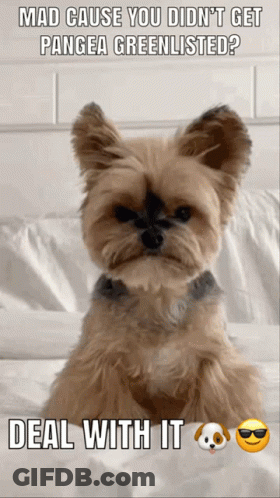 A Picture Of A Dog With The Caption Mad Cause You Didn 'T Get Pangea Greenlisted GIF
