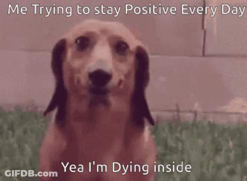 A Picture Of A Dog With The Caption " Me Trying To Stay Positive Every Day Yea I M Dying Inside " GIF