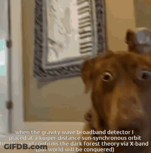 A Picture Of A Dog With The Caption " When The Gravity Wave Broadband Detector I Placed At A Kuiper Distance GIF