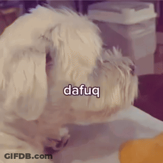 A Picture Of A Dog With The Word Dafug Written On It GIF