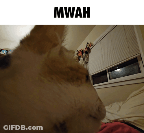 A Picture Of A Dog With The Word Mwah On The Bottom GIF