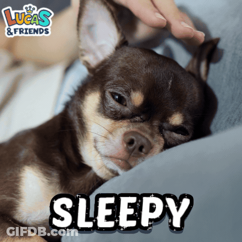 A Picture Of A Dog With The Word Sleepy Written On It GIF