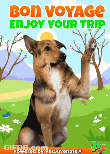 A Picture Of A Dog With The Words Bon Voyage Enjoy Your Trip Above It GIF