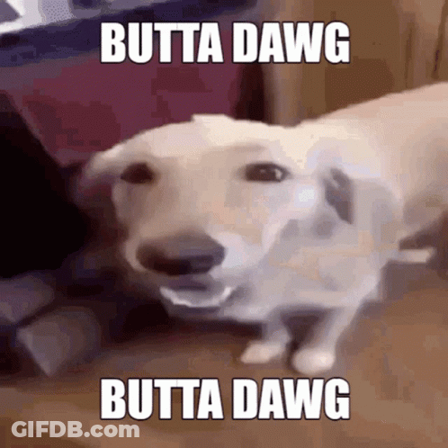 A Picture Of A Dog With The Words Butta Dawg On It GIF