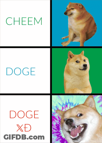 A Picture Of A Dog With The Words Cheem Doge And Doge Xd On The Bottom GIF