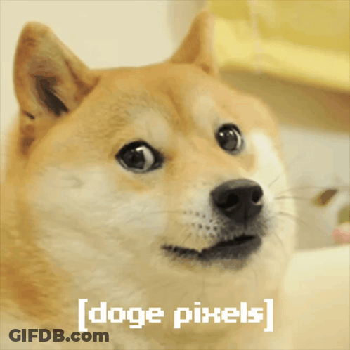 A Picture Of A Dog With The Words [ Doge Pixels ] Written Below It GIF