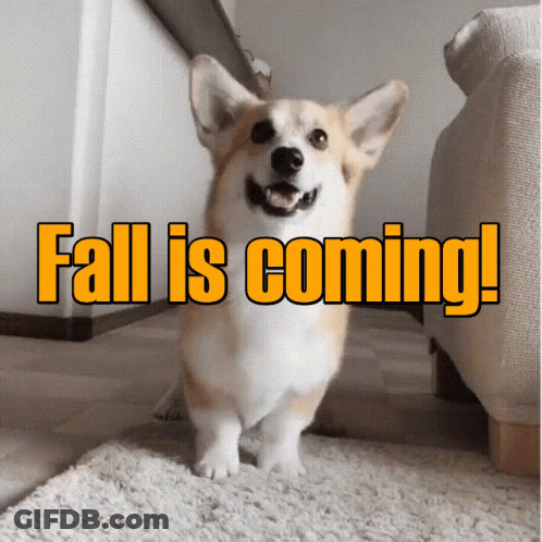 A Picture Of A Dog With The Words Fall Is Coming GIF