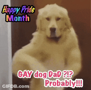 A Picture Of A Dog With The Words Gay Dog Dad Probably GIF
